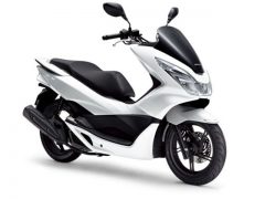 PCX1